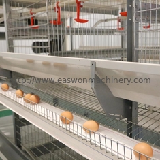Q235鋼鉄自動養鶏場装置の鶏の層は置く雌鶏のためにおりに入れる