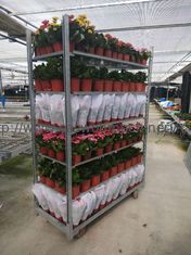シードHDGのデンマークの花のトロリーW565mm家の植物の棚を育てなさい