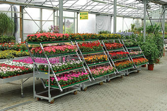 500kgsデンマークの花のトロリー3棚の車輪が付いている屋外の植物のカート