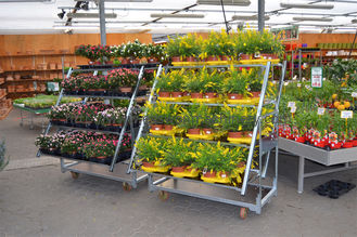 500kgsデンマークの花のトロリー3棚の車輪が付いている屋外の植物のカート